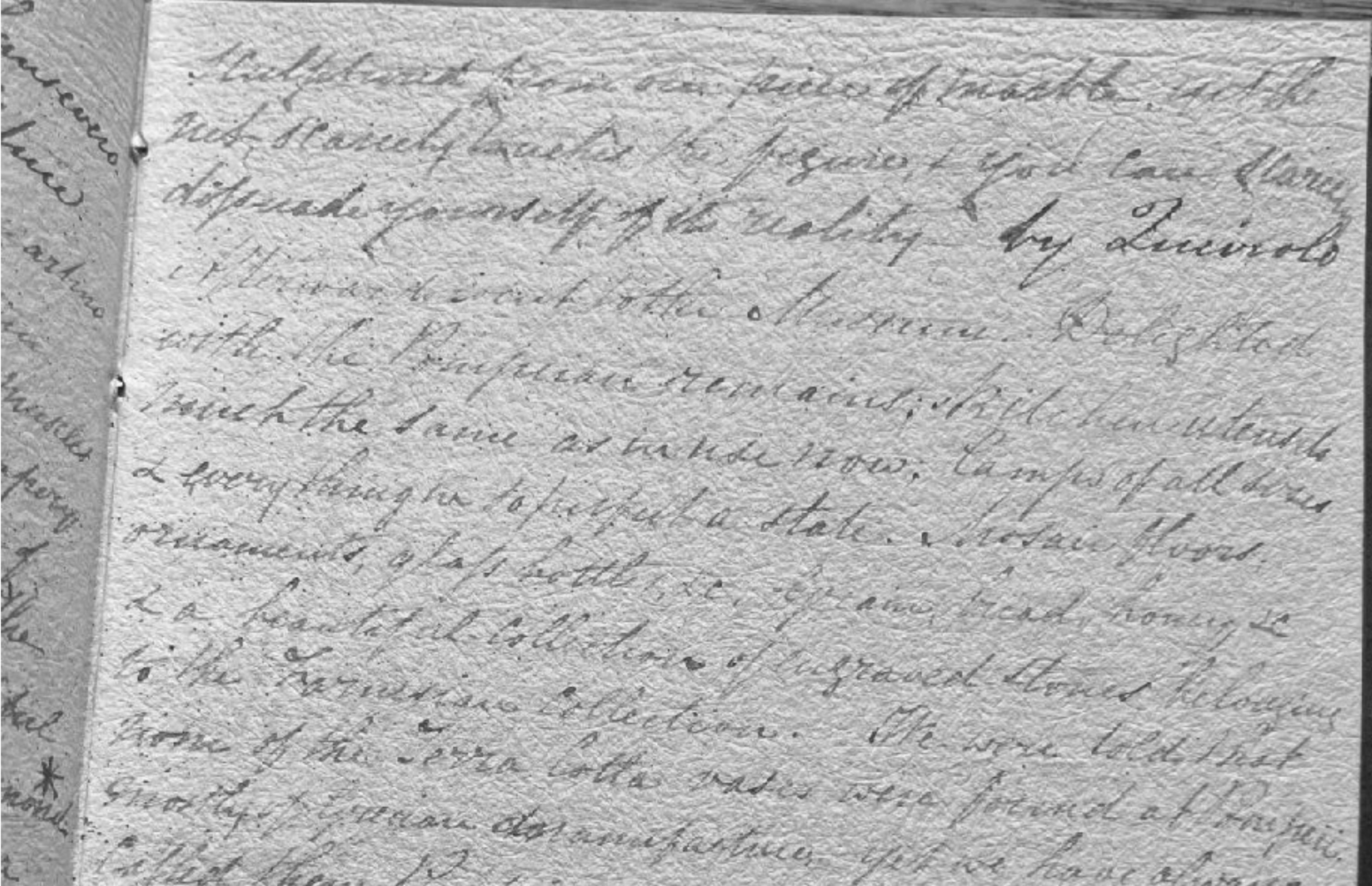 How Leo helped Michael Naylor transcribe a forgotten Victorian diary